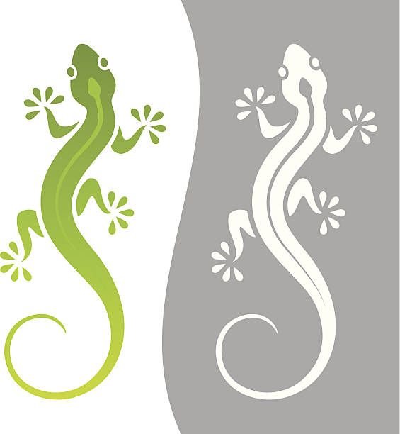 Стилизация ящерицы