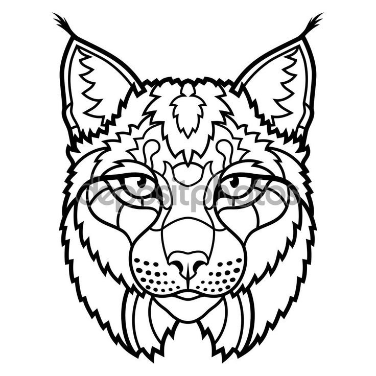 Рысь силуэт