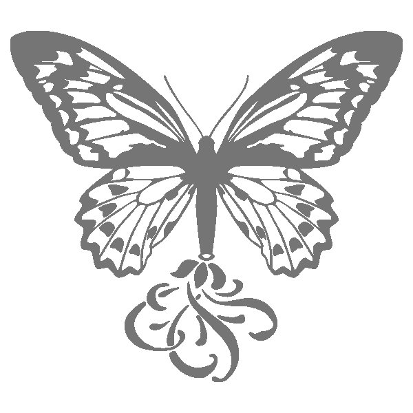 Трафареты бабочек для декора