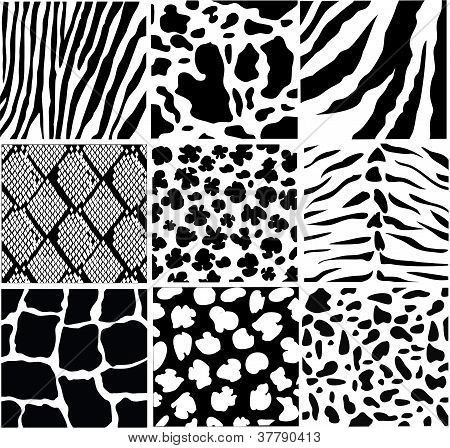 Фактура животных в графике