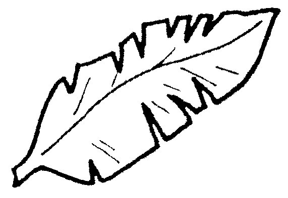 Лист пальмы