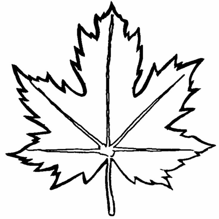 Кленовый лист раскраска