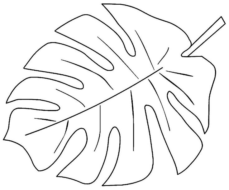 Листья раскраска