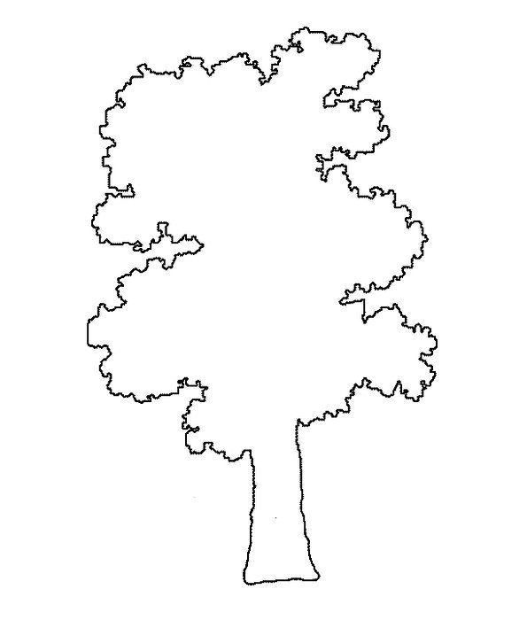 Дерево контур