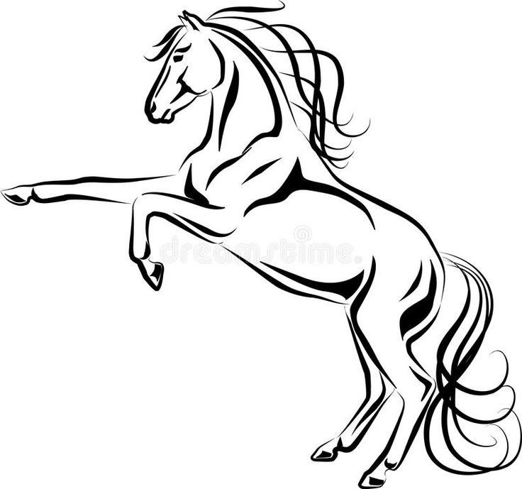 Лошадь контур