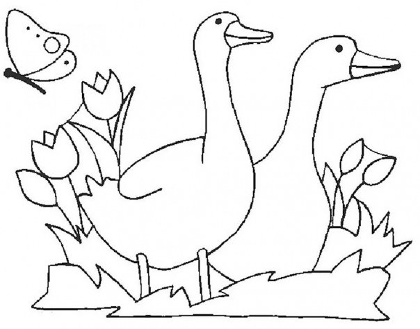 гусь на окно