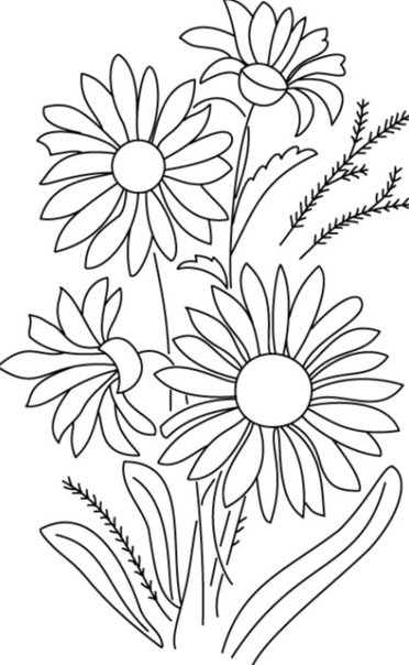 Рисунок ромашки для раскрашивания