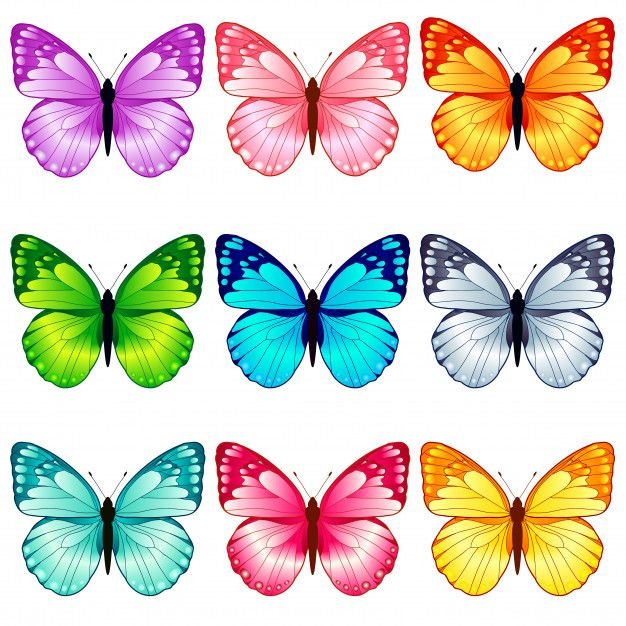Разноцветные бабочки