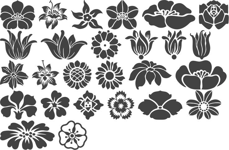 Трафареты цветов для декора