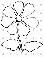 Цветочки для вышивания шаблон