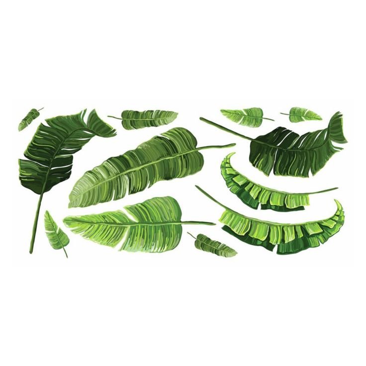 банановые листья