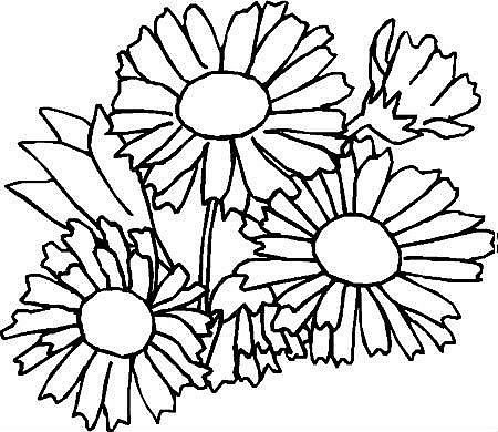 Ромашка контур