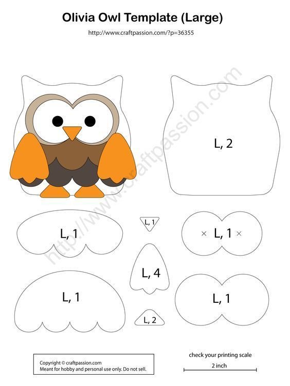 Лекало Совы