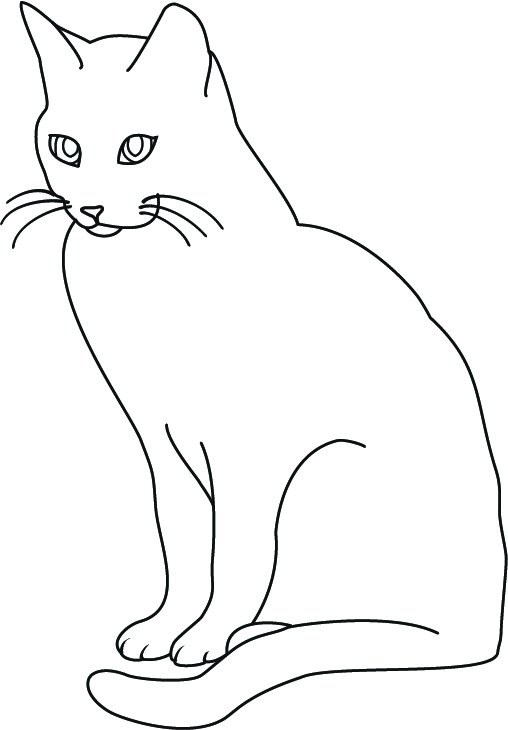 Кошка рисунок