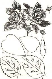 листок розы