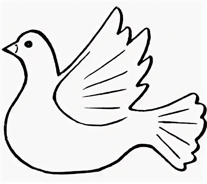Голубь шаблон
