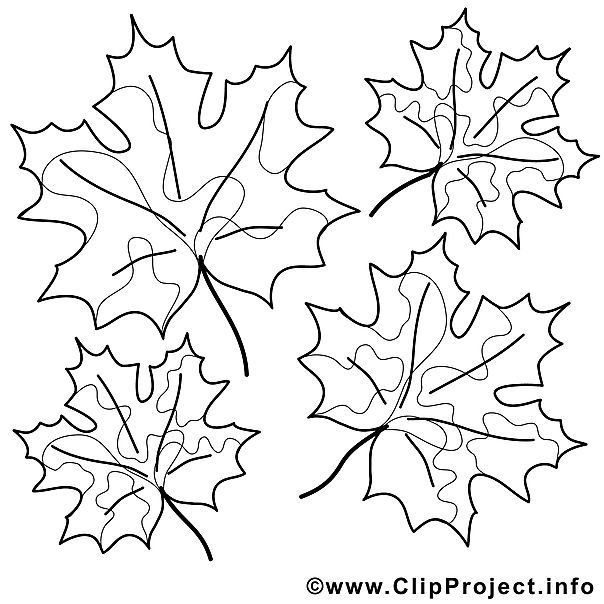 Кленовый лист трафарет для вырезания