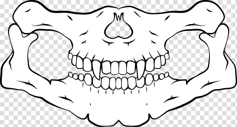 Челюсть эскиз