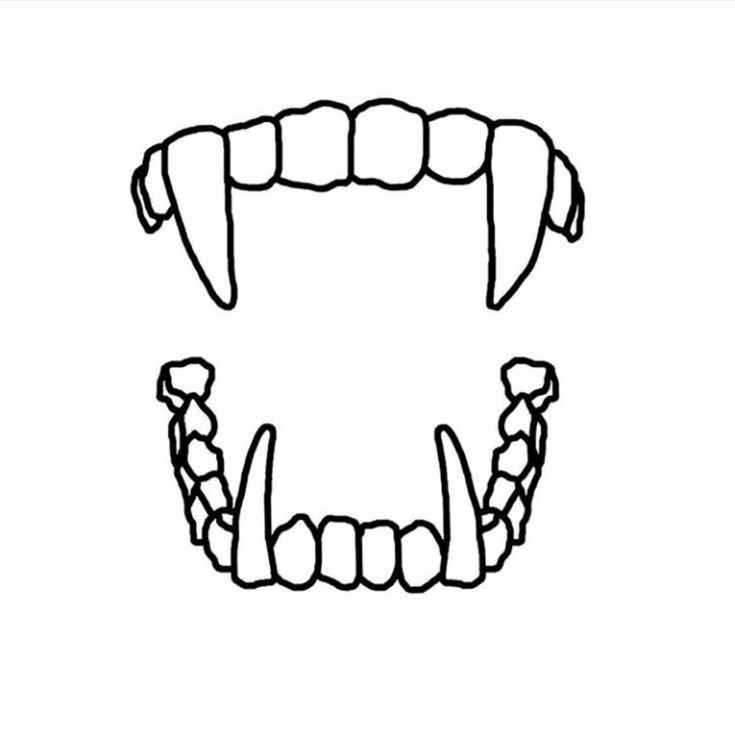Челюсть эскиз с клыками