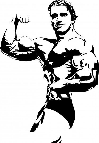 Силуэт Арнольда Шварценеггера