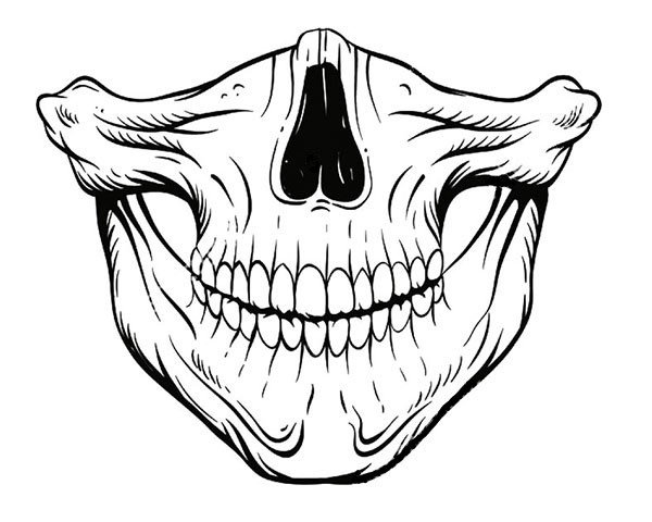 Челюсть эскиз