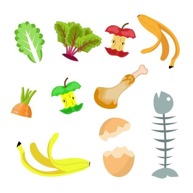 Пищевые отходы для детей