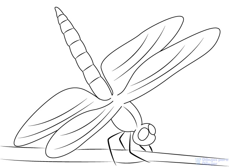 Трафарет Стрекоза для рисования