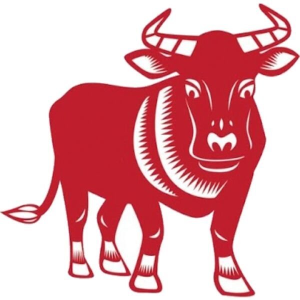 Символы нового года