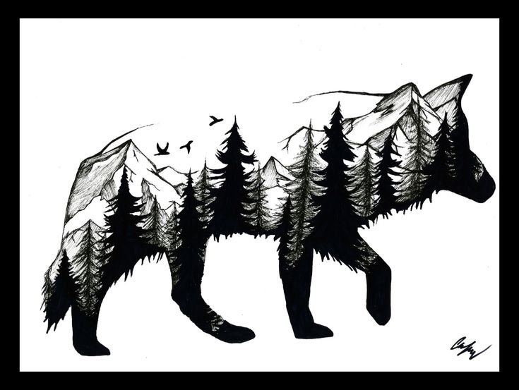 Силуэт волка