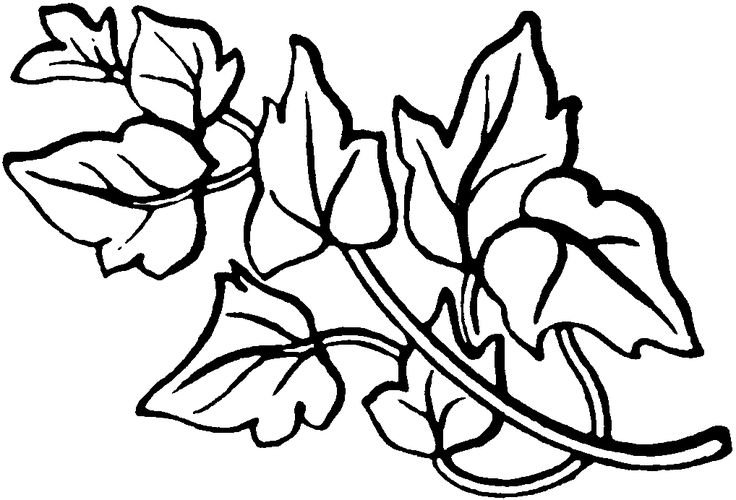 Рисунки для выжигания по дереву