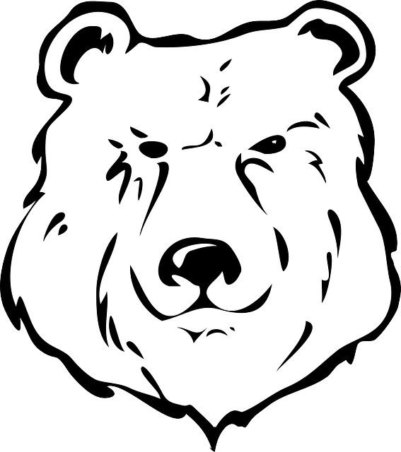 Медведь черно белый