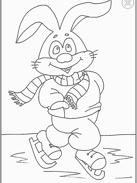 Заяц на коньках