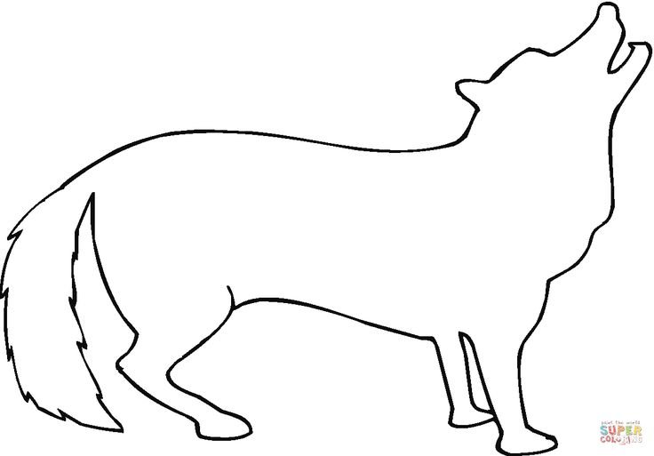 Контуры животных