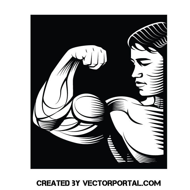 Бодибилдинг рисунки