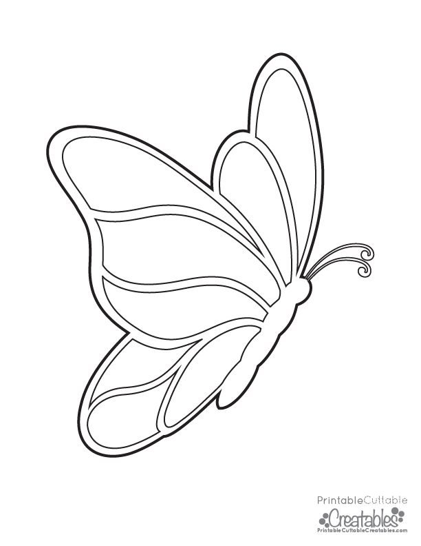 Трафареты бабочки