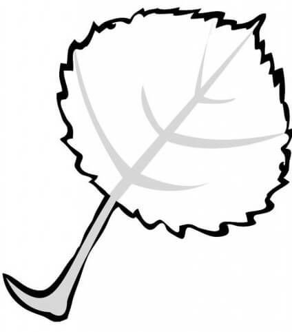 Лист осины раскраска для детей