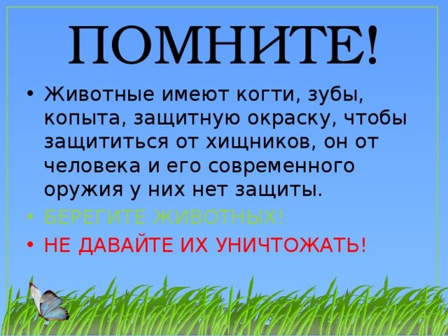 Берегите животных стихи