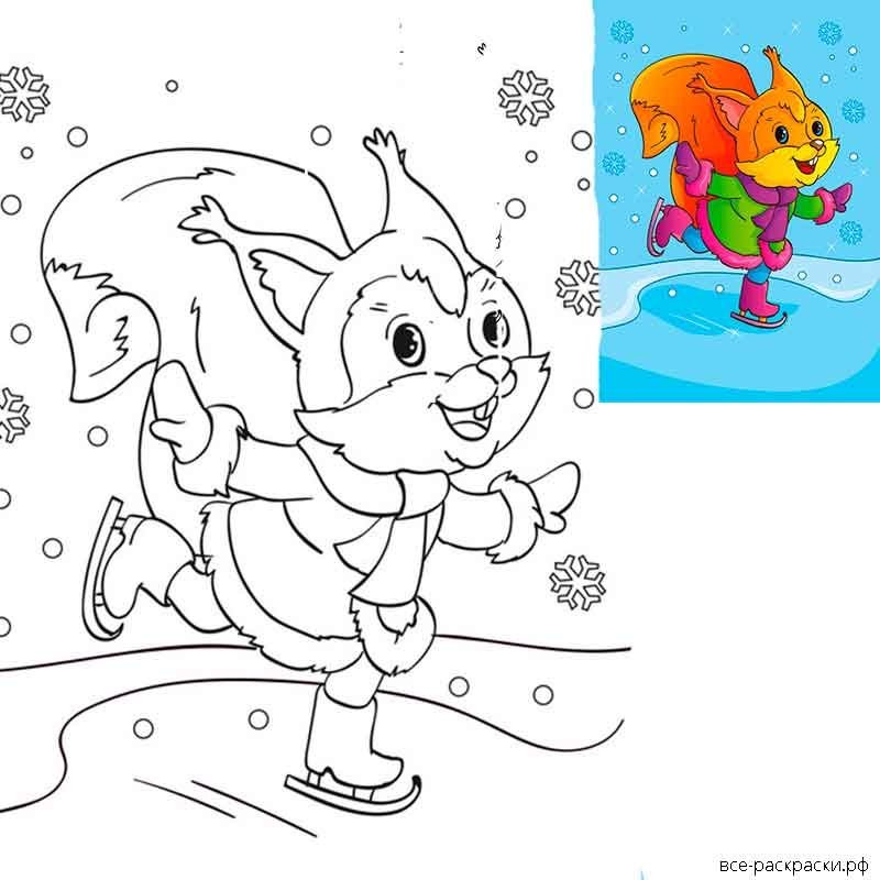 Коньки раскраска