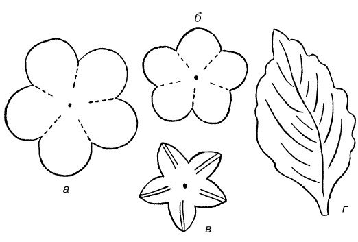 Цветок яблони шаблон