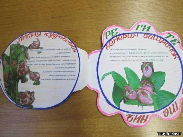 Книжка малышка окружающий мир