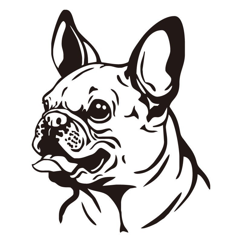 Французский бульдог