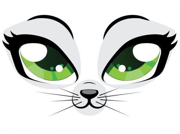 Мордочка и глазки кошки