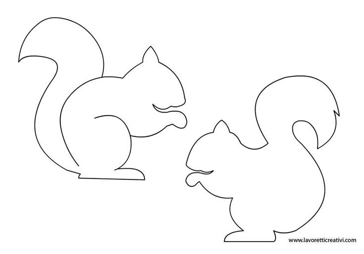 Трафарет белки для аппликации