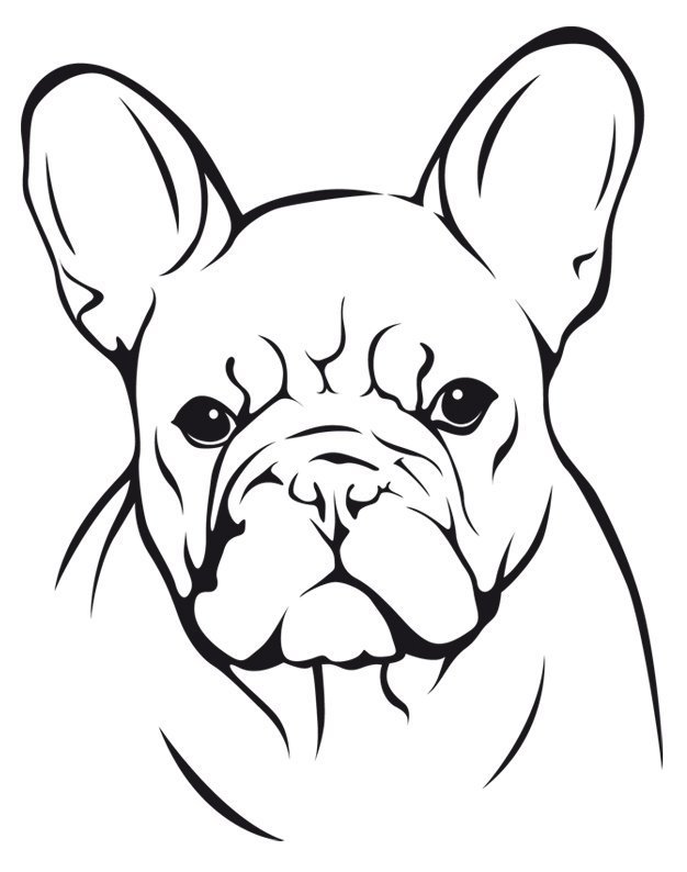 Французский бульдог сзади векторное