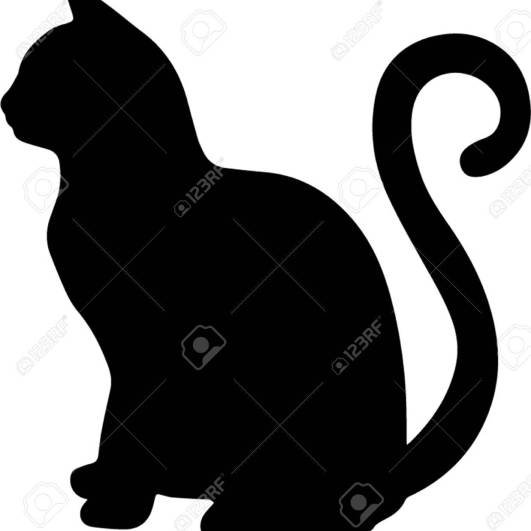 сидячая кошка