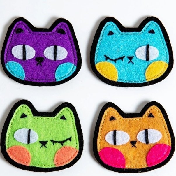 Котоброшки асинастра