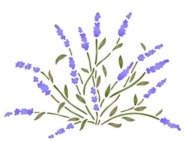 Лаванда рисунок