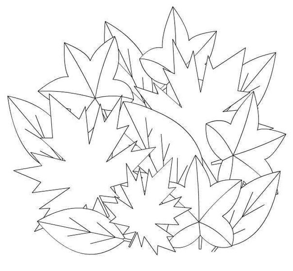 Букет осенних листьев раскраска