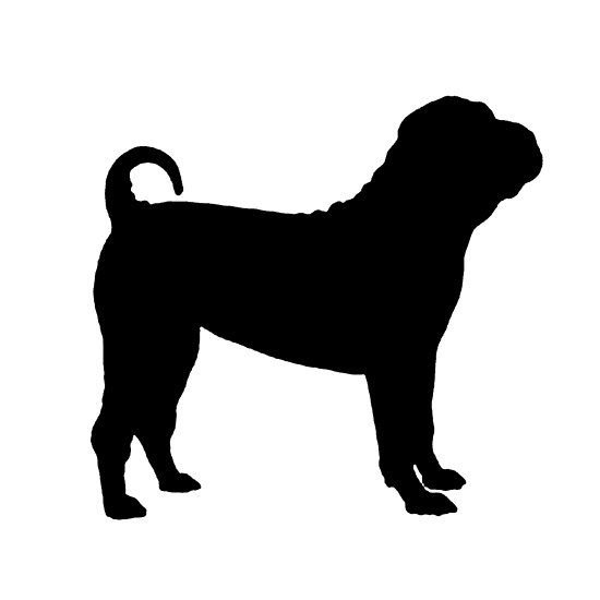 Собака шарпей