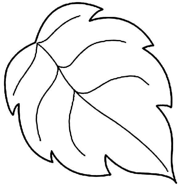 Трафареты "листья"